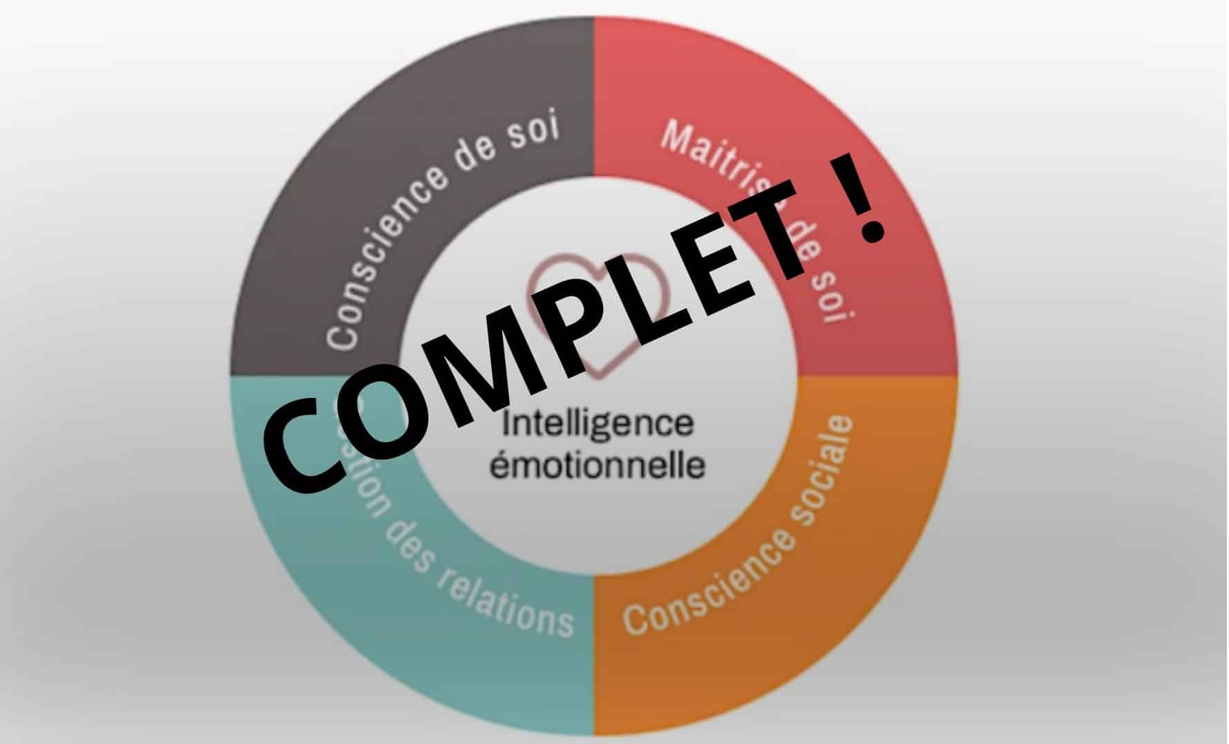 Formation Intelligence émotionnelle